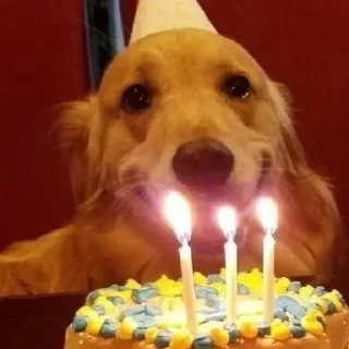 Стикер @yaziktembot <--- стикеры тут - 8