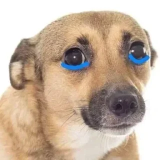 Стикер @yaziktembot <--- стикеры тут - 4