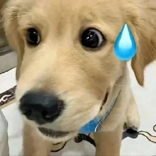 Стикер @yaziktembot <--- стикеры тут - 5