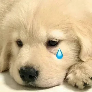 Стикер @yaziktembot <--- стикеры тут - 2