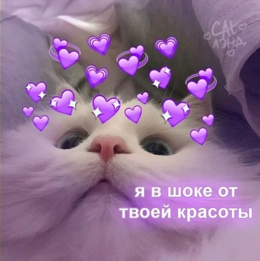 Стикер стики от @tgrandomka :: @fStikBot - 5