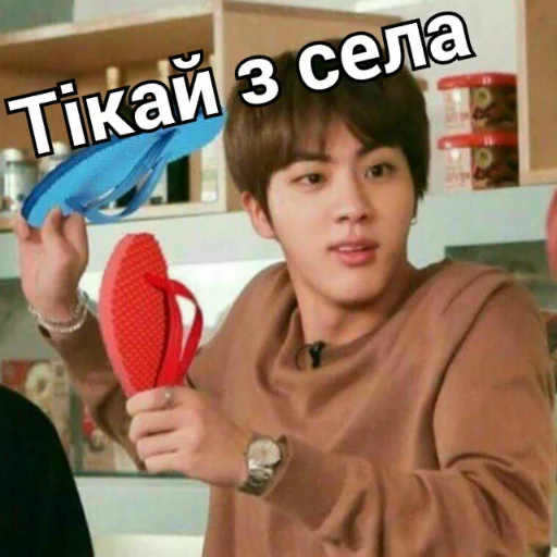 Человек человеческое лицо комнатный