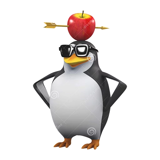aquatic bird penguin cartoon