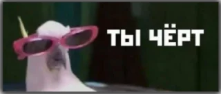 Sticker @stoopdog - 5