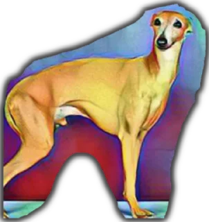 Sticker @stoopdog - 11