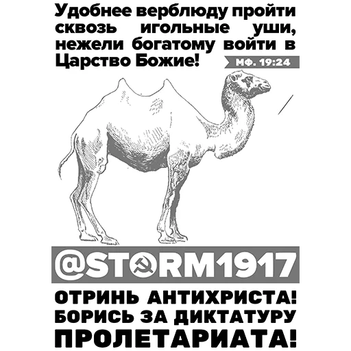 СМС животное млекопитающее