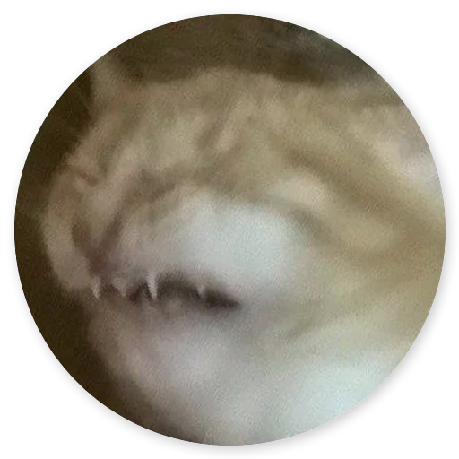 луна природа астрономический объект