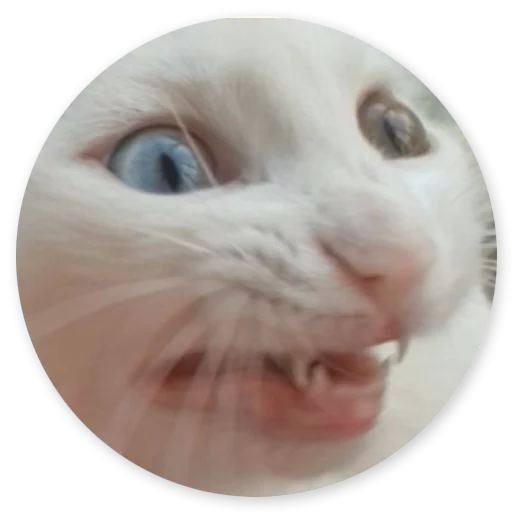 Стикер stpcts2 - 1