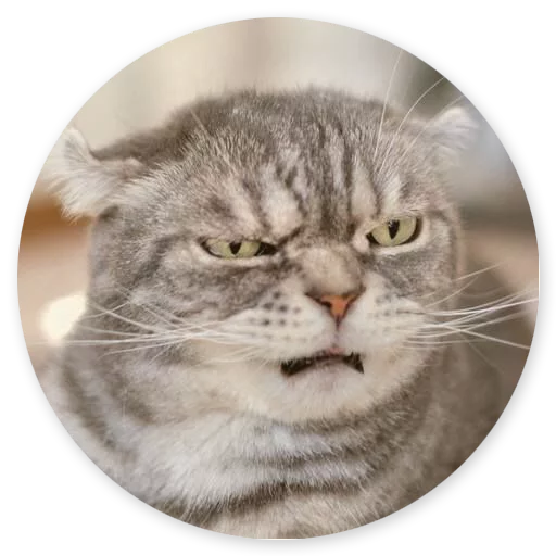 Стикер stpcts2 - 1