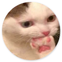 Sticker Stupid Cats 2
(@O12345654321O) - 8