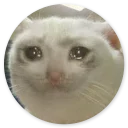 Sticker Stupid Cats 2
(@O12345654321O) - 2