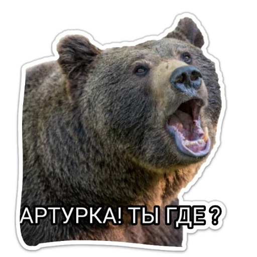 Sticker Странник Артур - 6