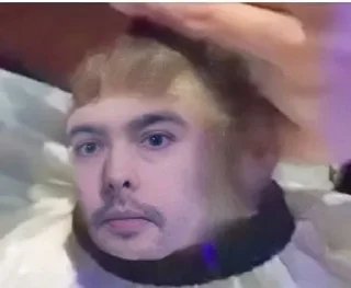 Sticker @stray_we - 3