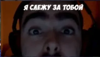 Sticker STRAY228 - 2