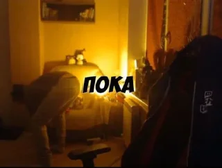 Sticker STRAY228 - 8