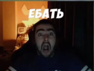 Sticker STRAY228 - 9