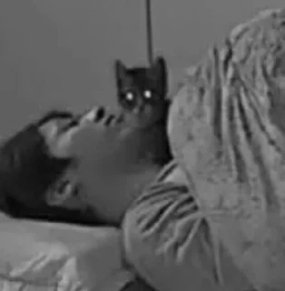 Sticker стрейкидсики - 4