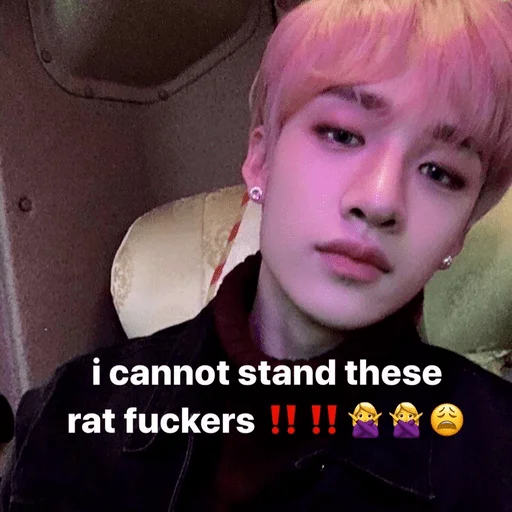 Sticker strayracha - 1