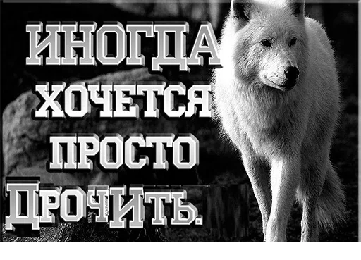 СМС животное млекопитающее