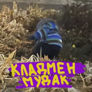 Sticker СТРУКТУРА СЧАСТЬЯ - 0