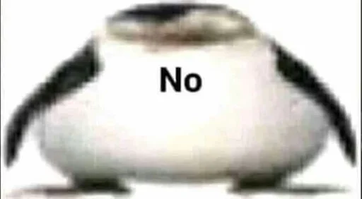 penguin aquatic bird animal