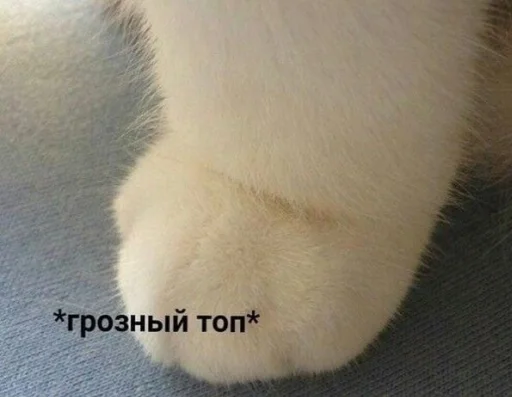 Стикер stupiddddovboyibi - 1