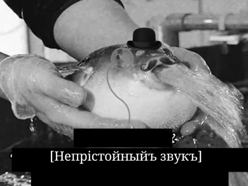 Sticker stupiddddovboyibi - 1