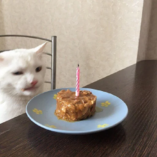 кошка свеча комнатный