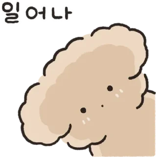 Sticker 복슬복슬 아기푸들이랑 놀아주세요! 5 By @KakaoEmoticon - 1