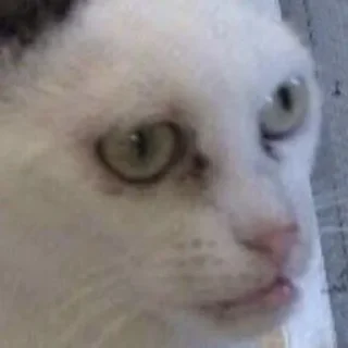 Стикер Стиль - 6