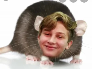 rodent human face mouse