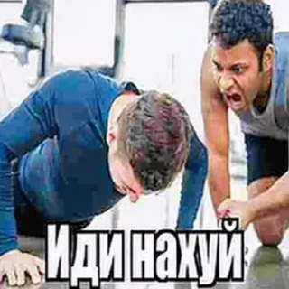 Sticker Sueta @snorovkaa @stickswik - 8