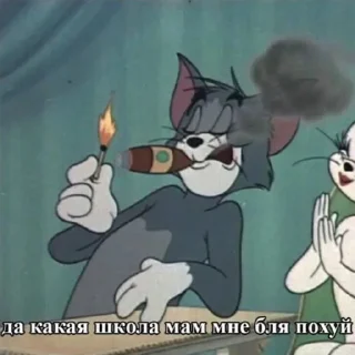 Sticker Sueta @snorovkaa @stickswik - 6