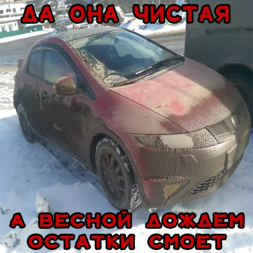 Sticker suetologi_NN - 1