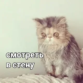 Стикер Клуб страданий - 6