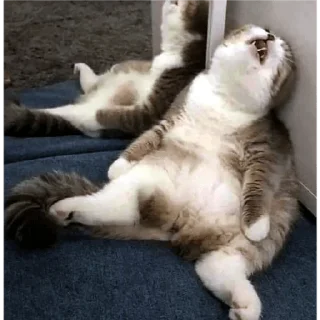 Стикер Клуб страданий - 11