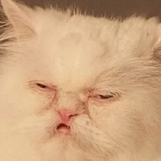 Стикер Клуб страданий - 1