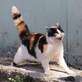 Стикер Клуб страданий - 8