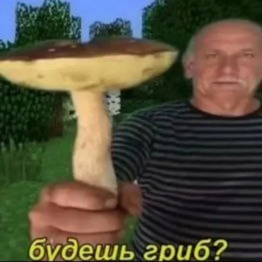 Sticker Sugar shlyapa - 6