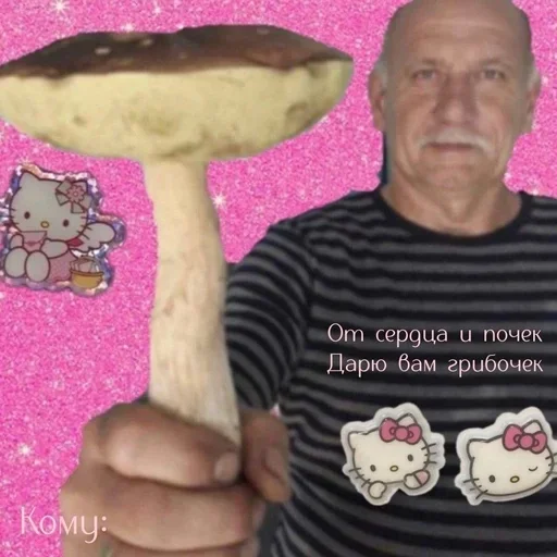 Sticker Sugar shlyapa - 4