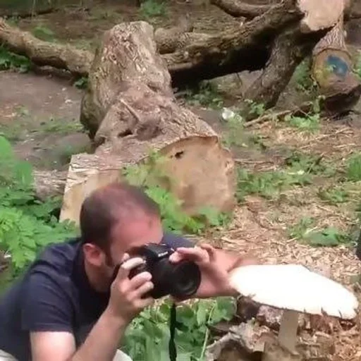 Sticker Sugar shlyapa - 2