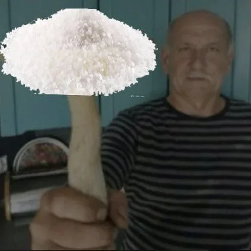 Sticker Sugar shlyapa - 1