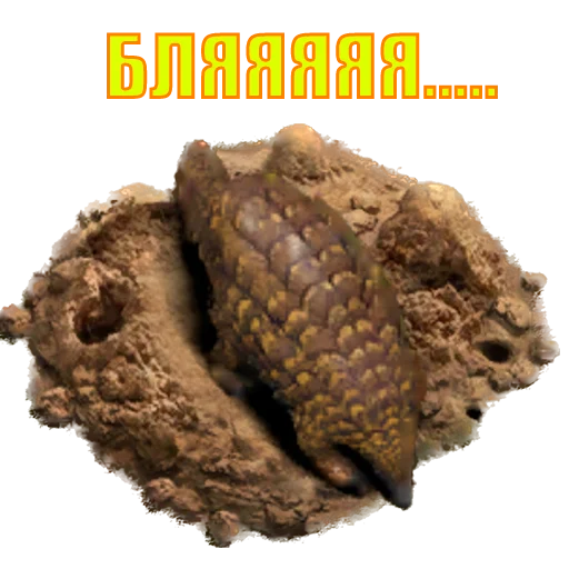 Стикер suicide753squad - 1