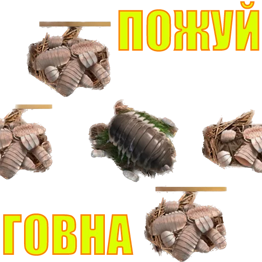 Стикер suicide753squad - 1