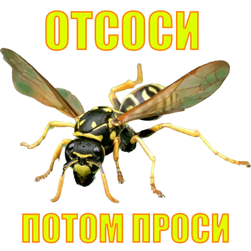 Стикер suicide753squad - 1