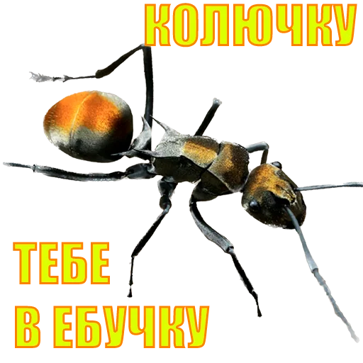 Стикер suicide753squad - 1