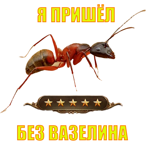 Стикер suicide753squad - 1