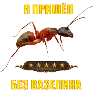 Стикер SQD || by @ecilopxob - 9