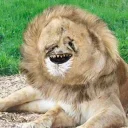 Sticker @suicideseason shit n' stuff - 7