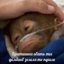 Sticker @suicideseason shit n' stuff - 1